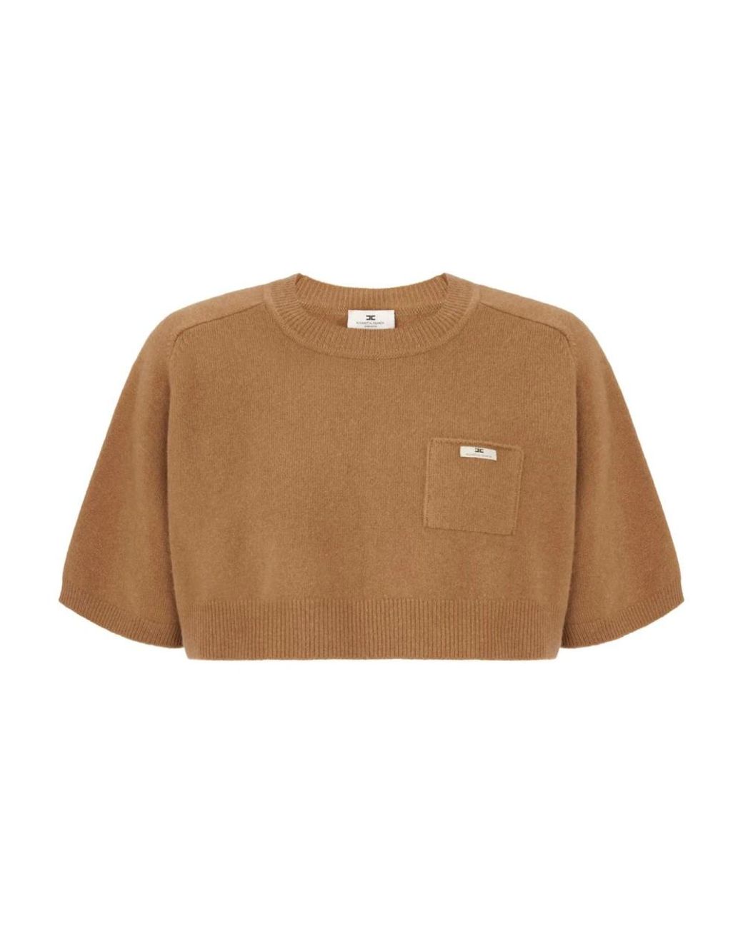 Elisabetta Franchi Brown Round-Neck Knitwear