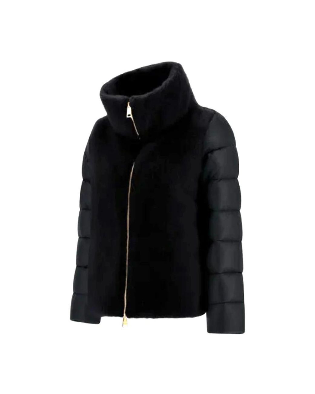 Down Jackets Herno en coloris Black