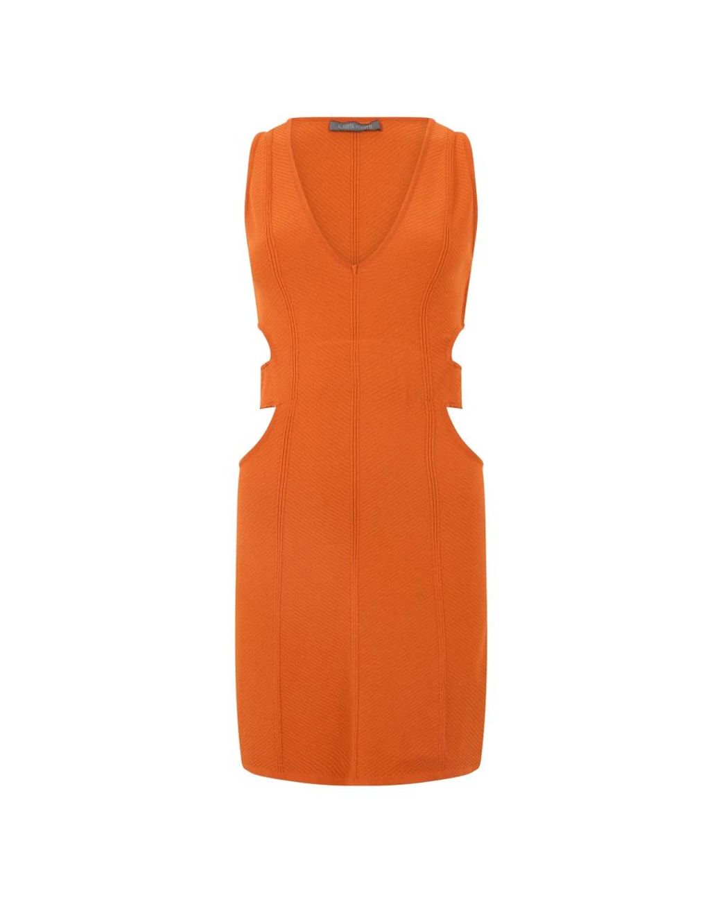 Alberta Ferretti Fitted Dress With V-Neck in het Orange