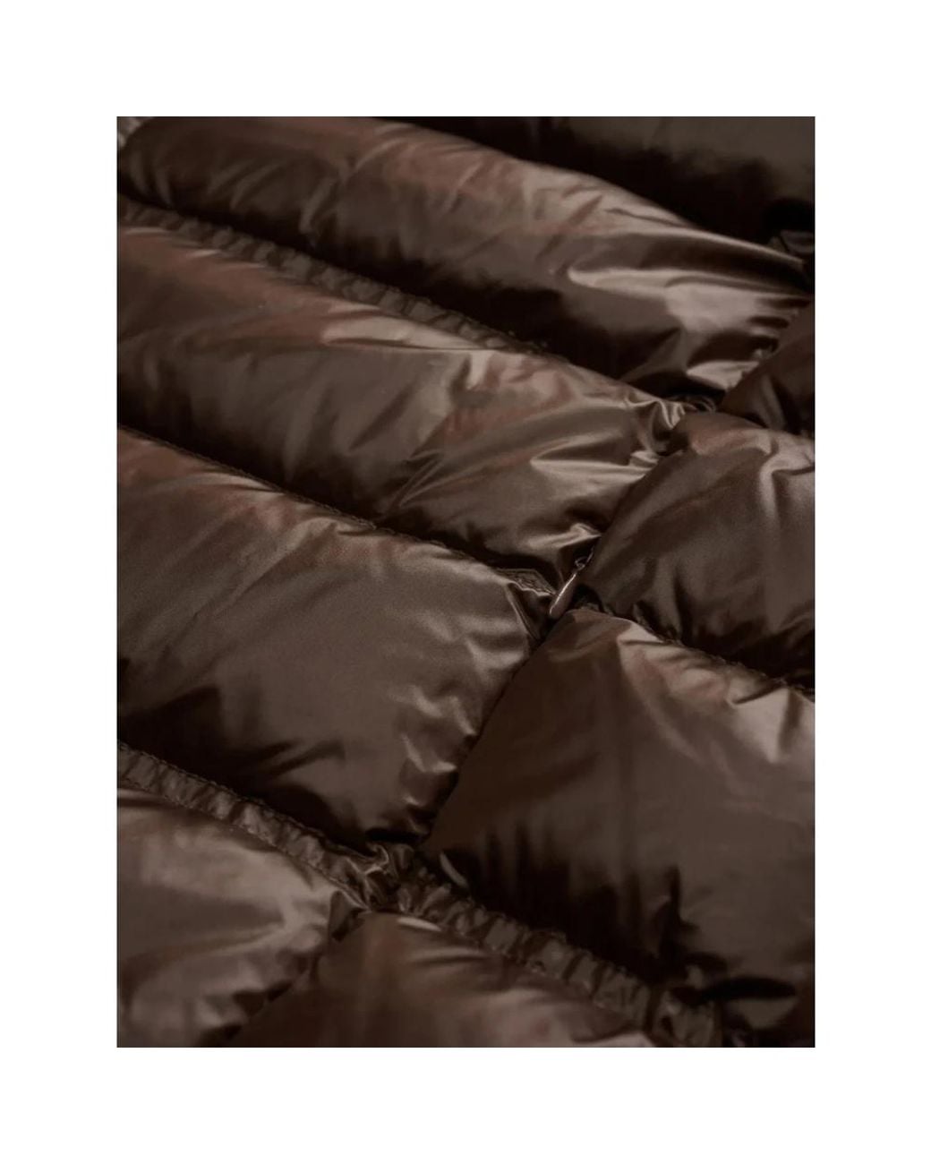 Down Jackets Blauer de hombre de color Brown