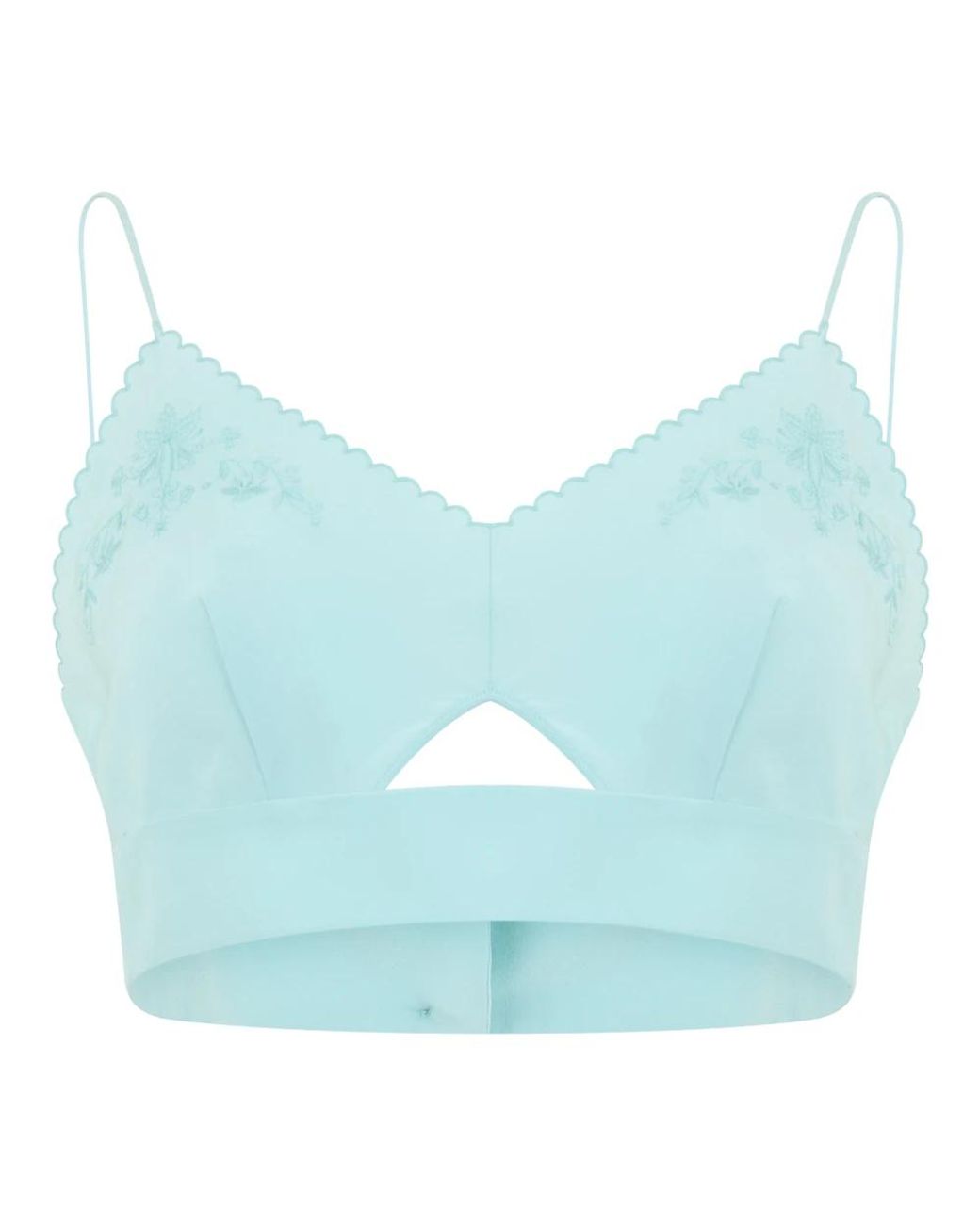 Alberta Ferretti Blue Sleeveless Tops
