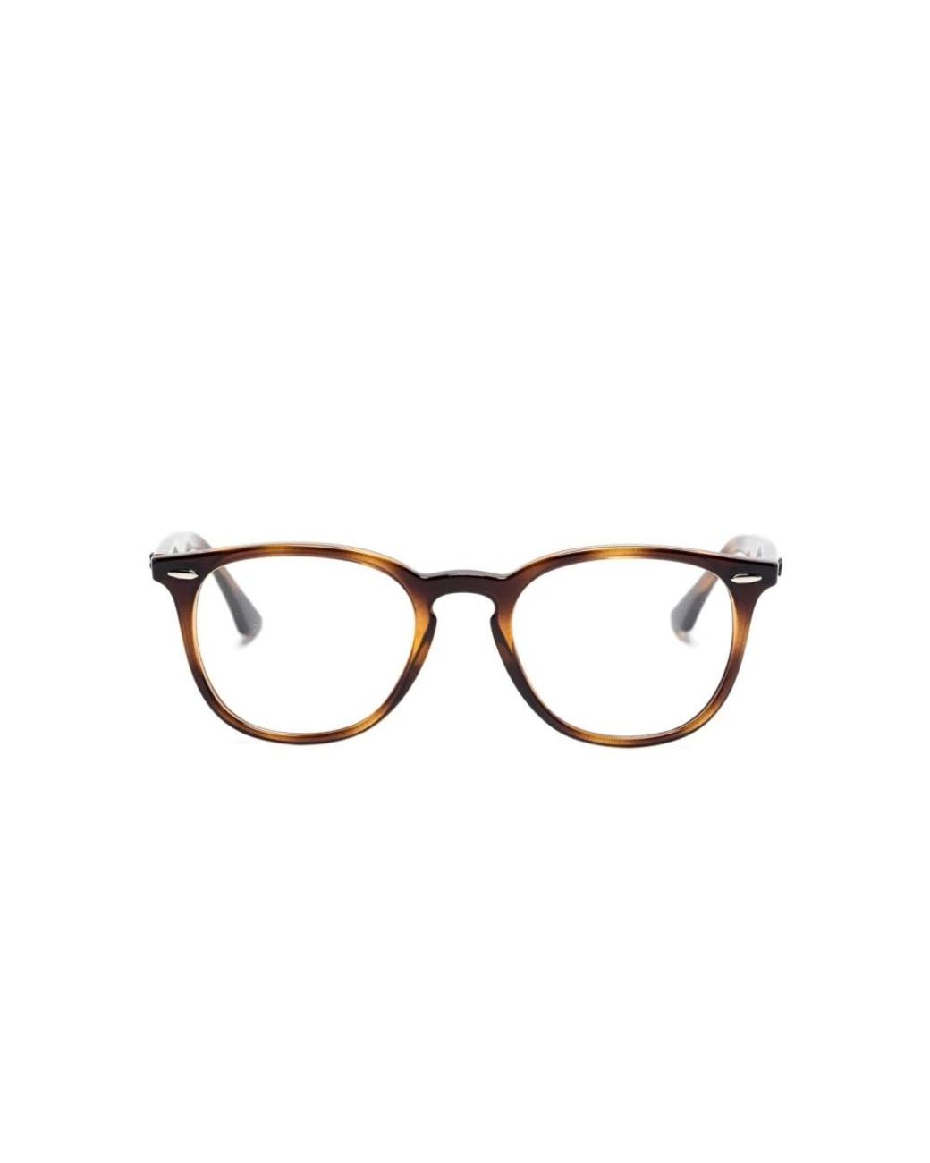 Ray-Ban Brown Glasses