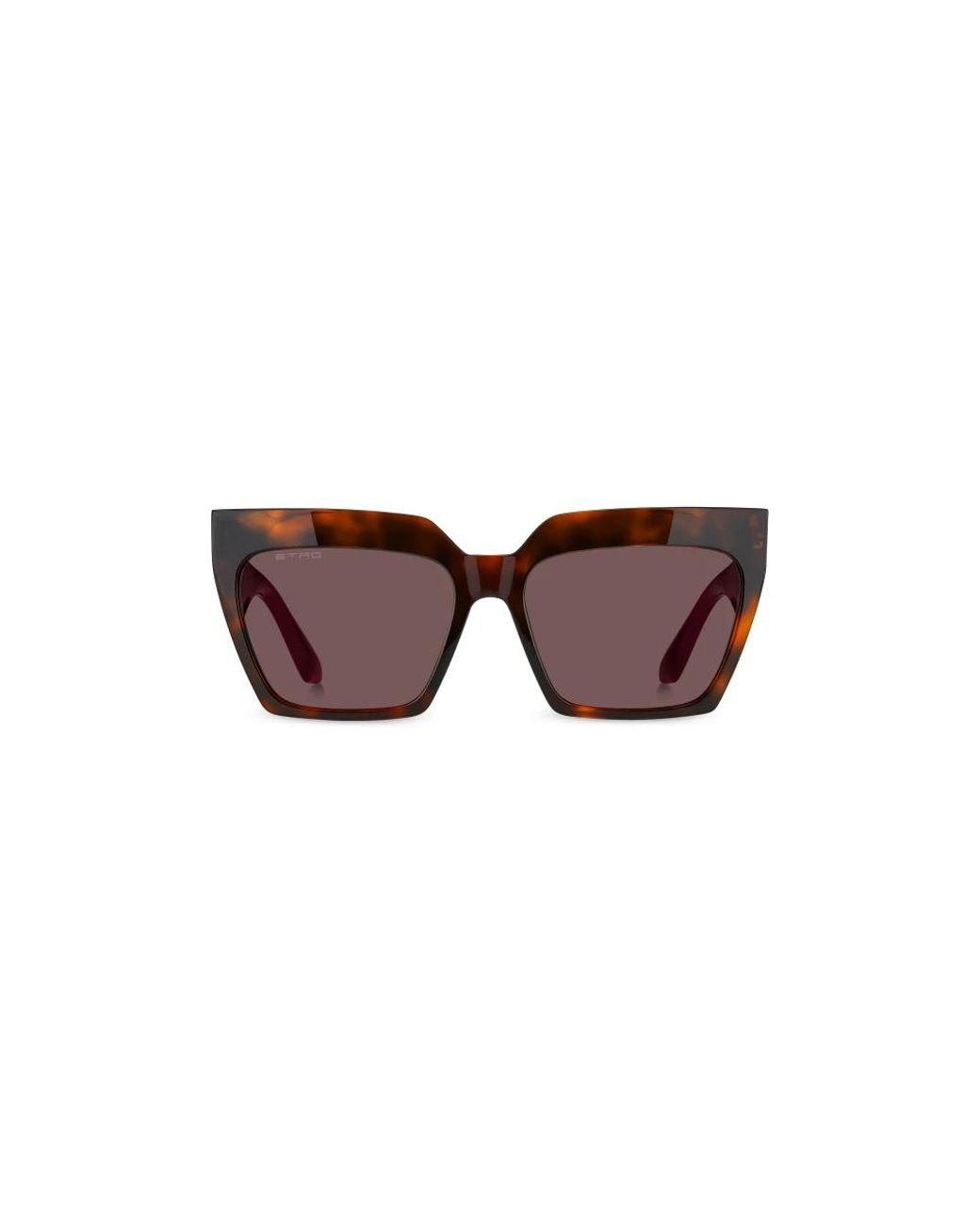 Etro Brown Sunglasses