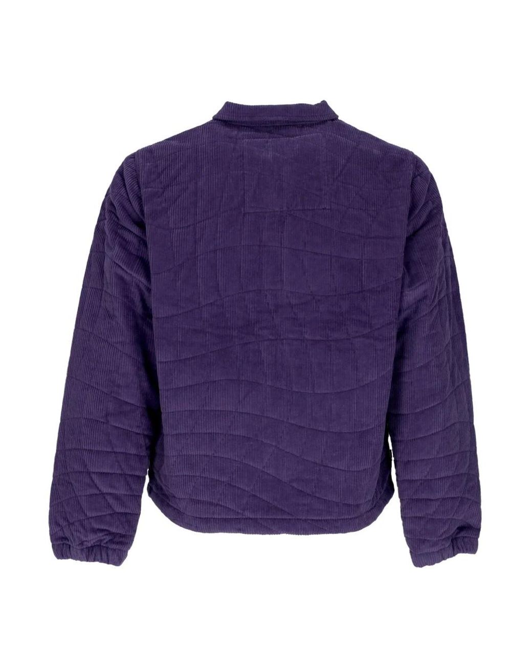 The Hundreds Purple Winter Jackets for men