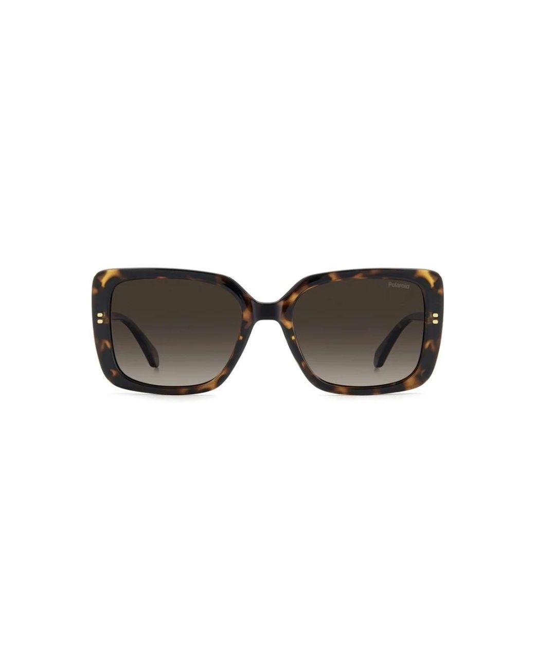 Polaroid Black Sunglasses