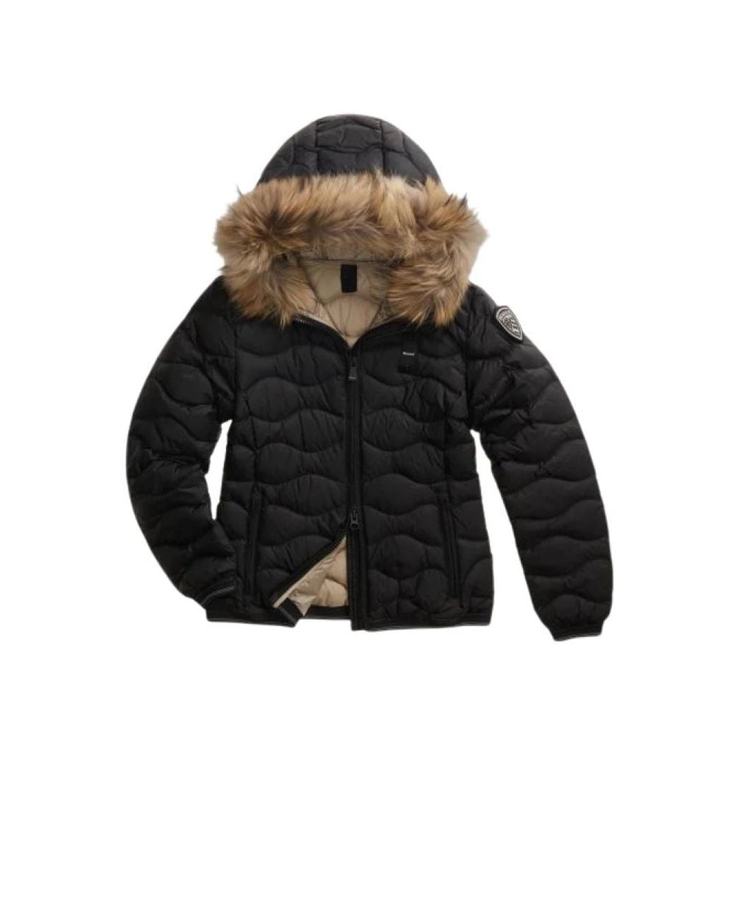 Blauer Black Winter Jackets