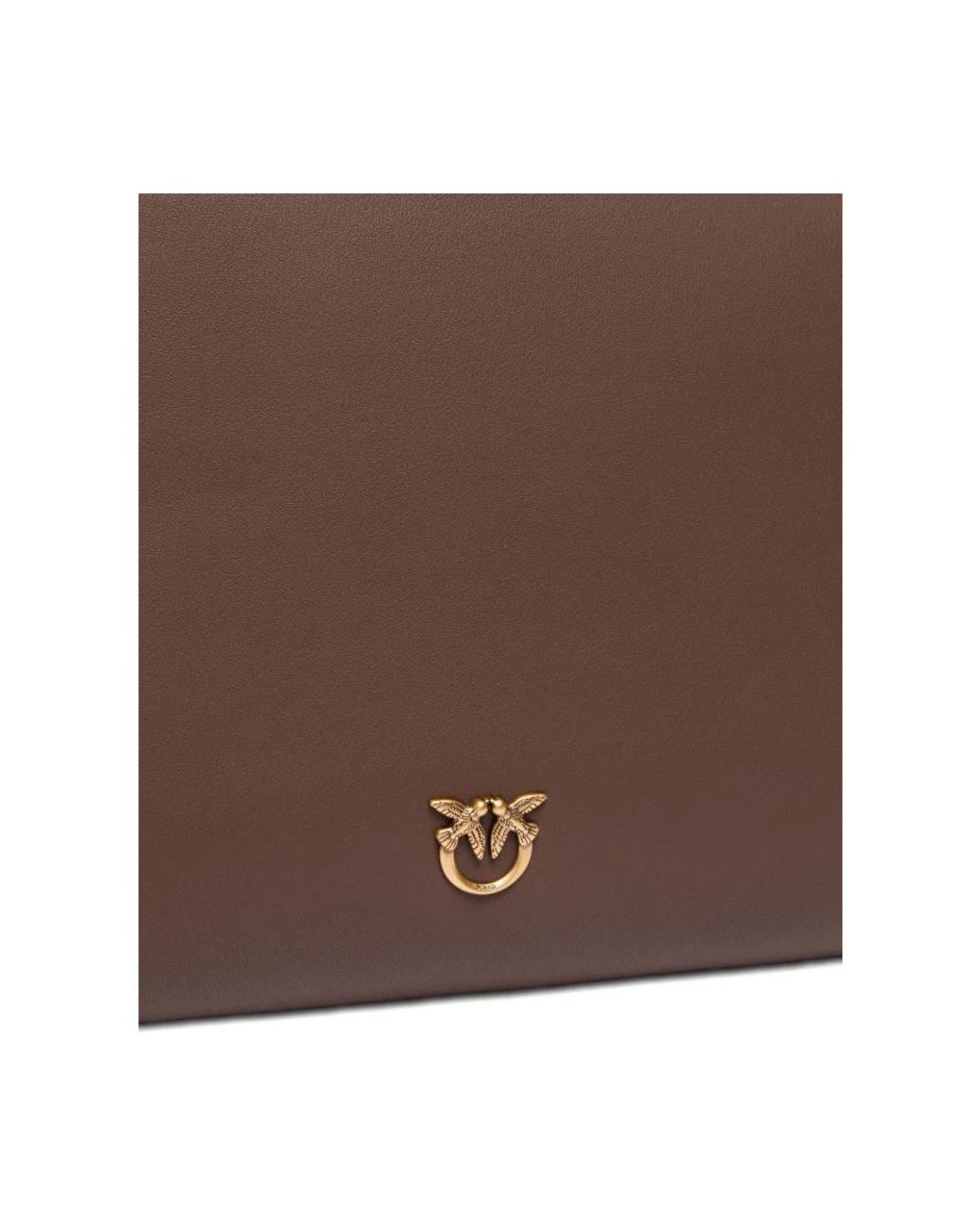 Pinko Brown Shoulder Bags