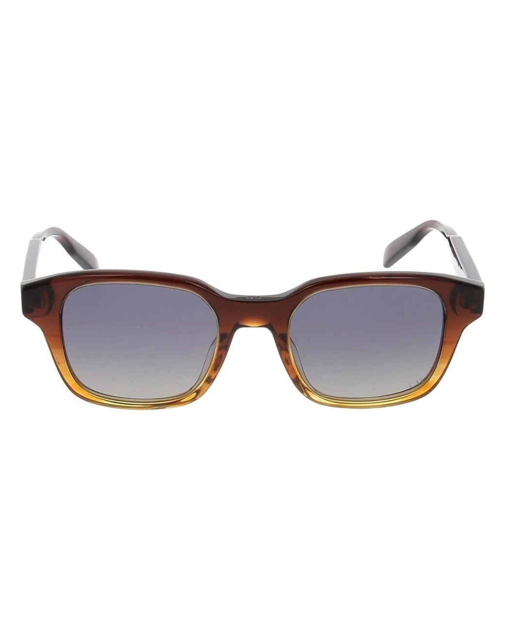 Dior Brown Sunglasses