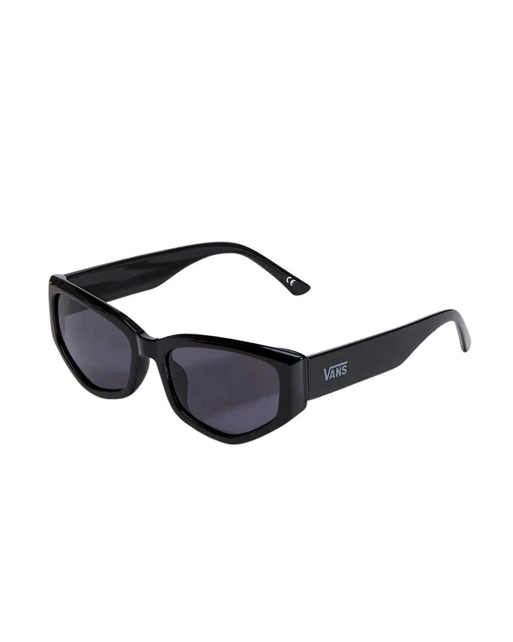 Vans Leyden Zonnebril in het Black