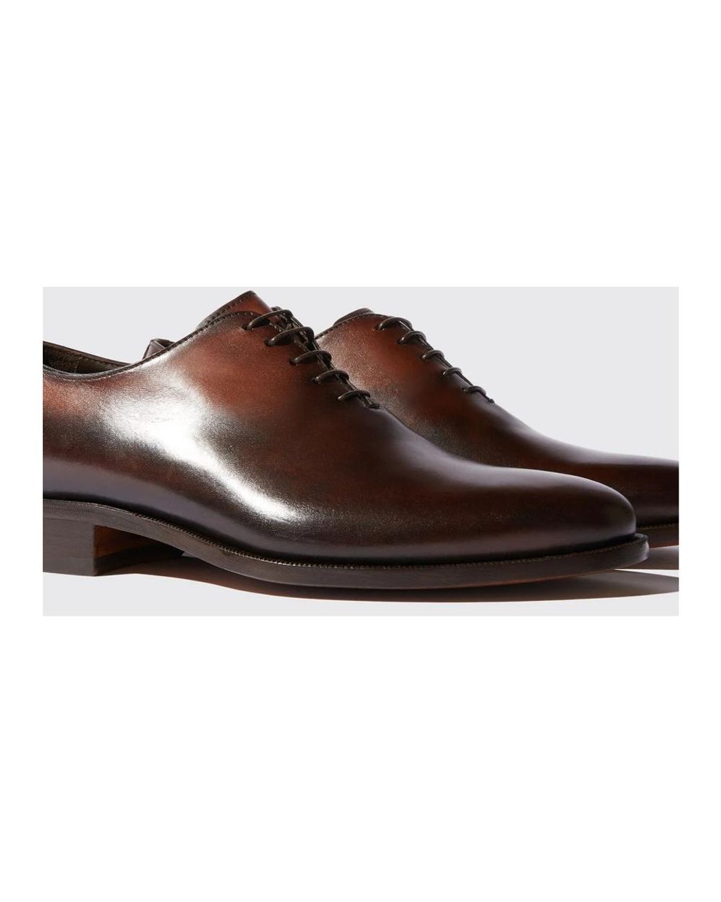 Scarosso Brown Laced Shoes for men