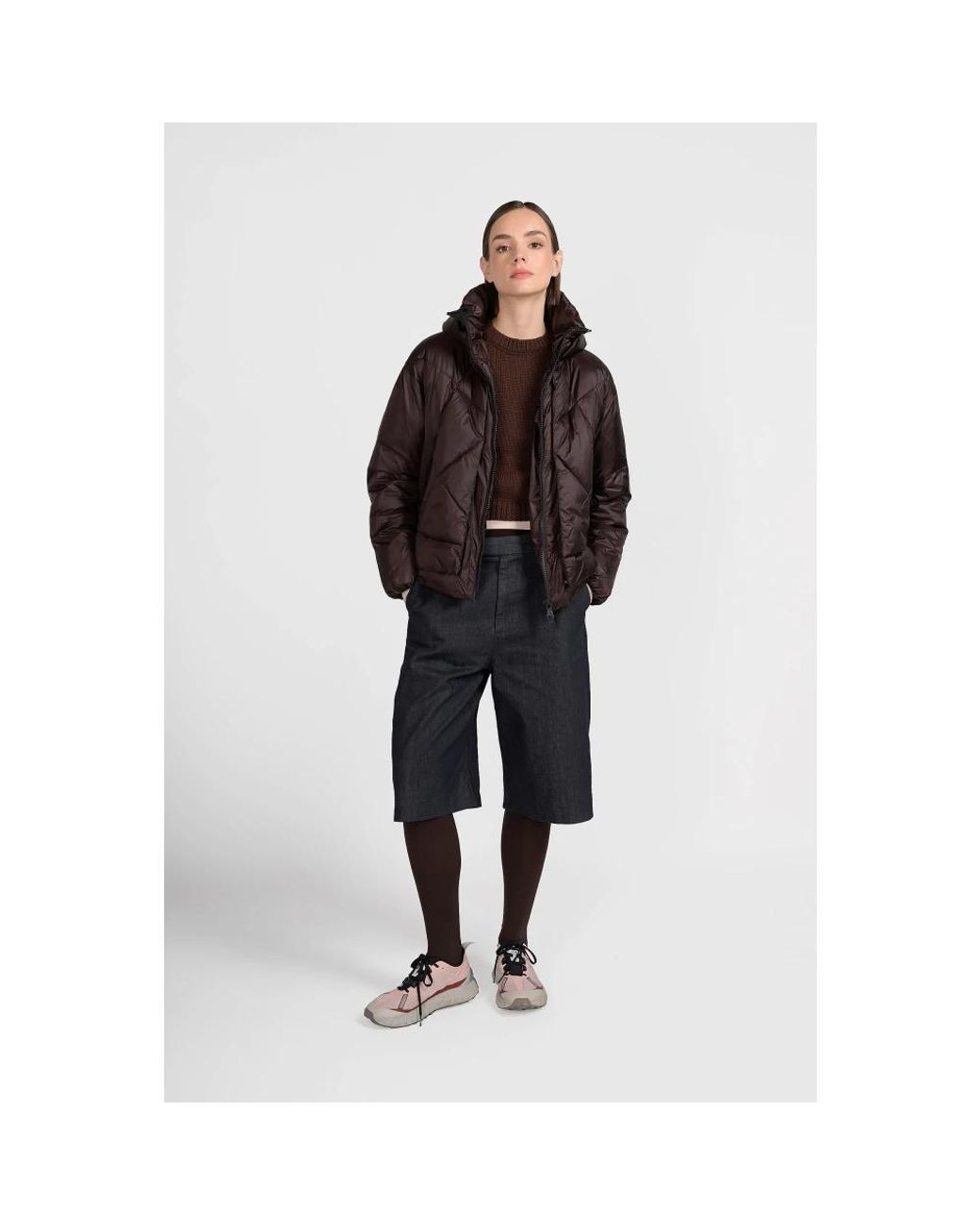Winter Jackets Canadian de color Brown