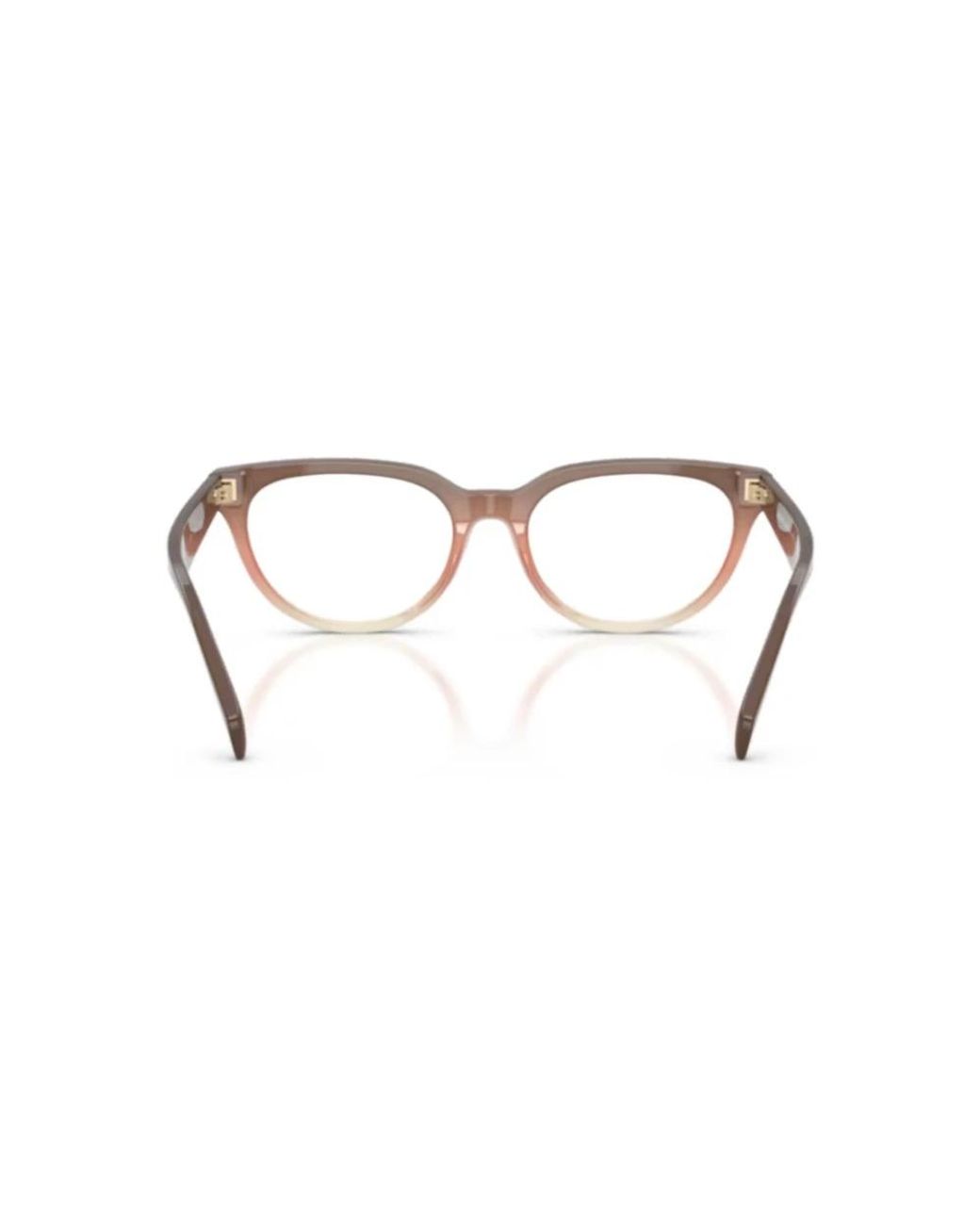 Michael Kors Brown Casper Eyeglasses