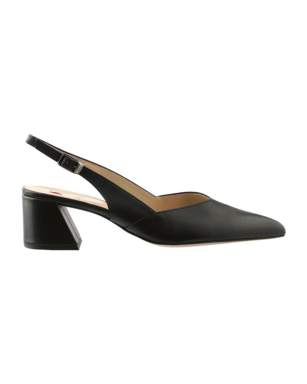 Pumps Högl en coloris Brown