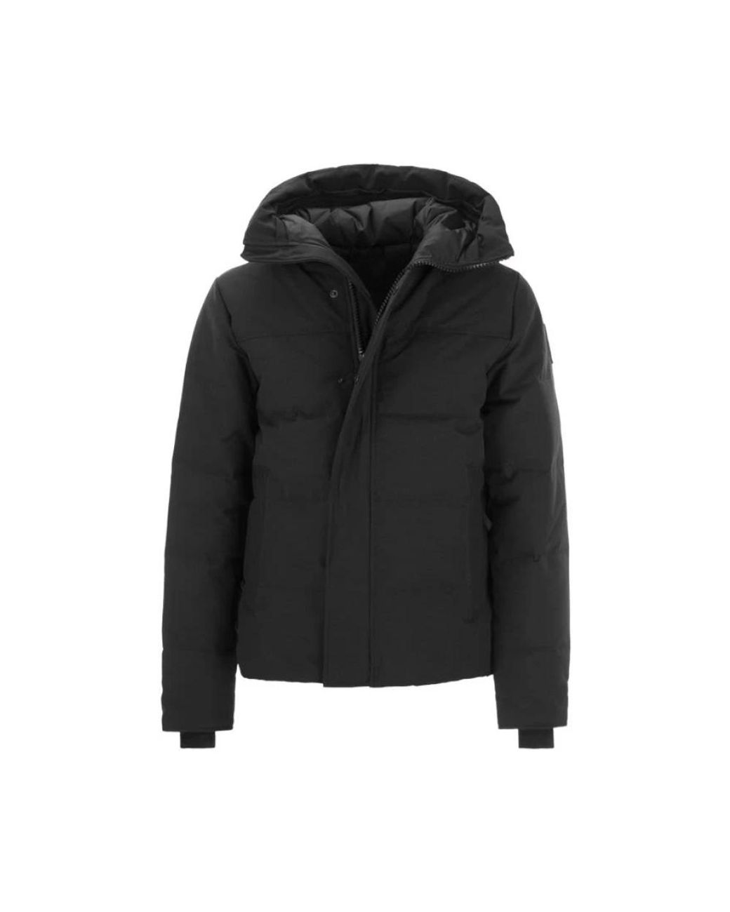 Canada Goose 800 Fill Caracteristicas