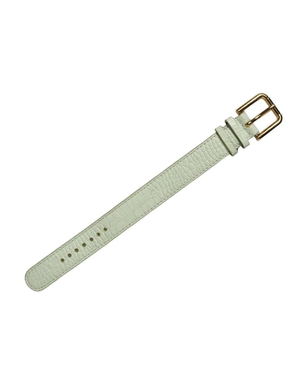 Dolce & Gabbana Green Belts