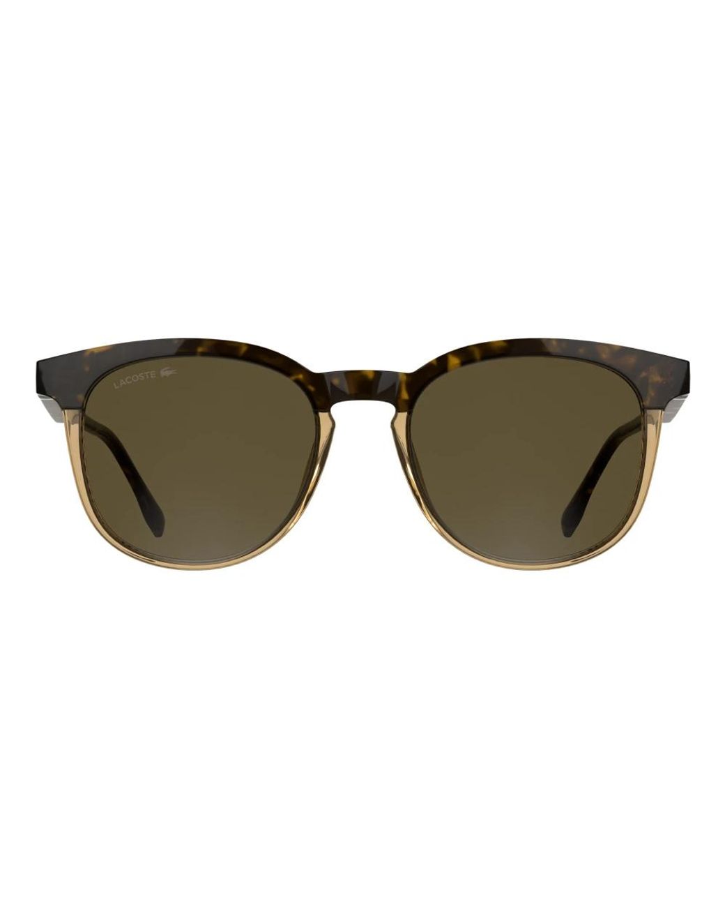Lacoste Brown Sunglasses for men