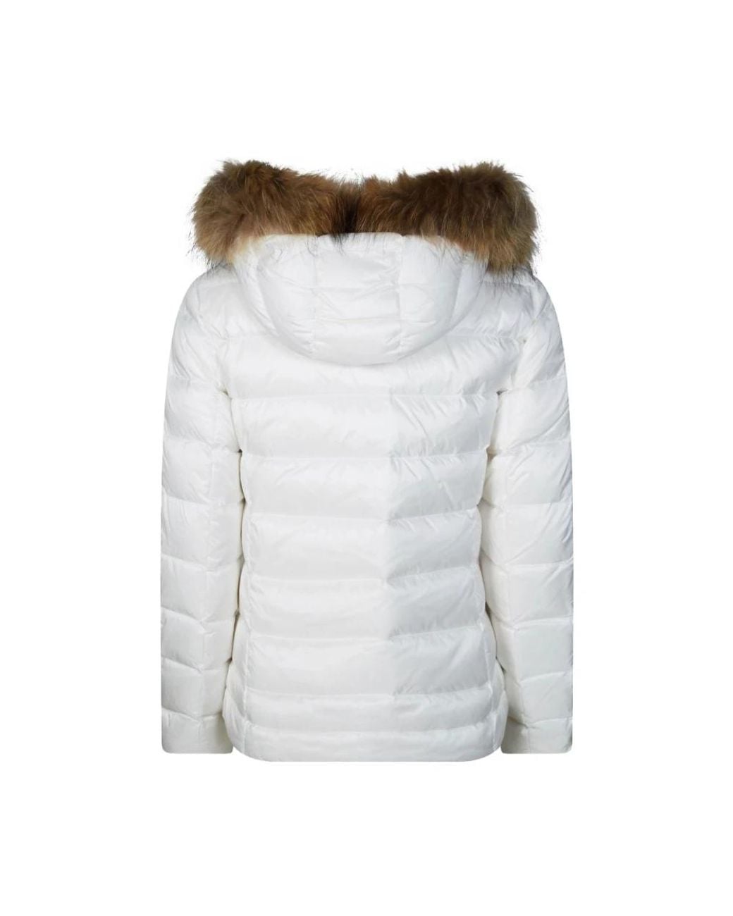Winter Jackets Blauer de color Gray