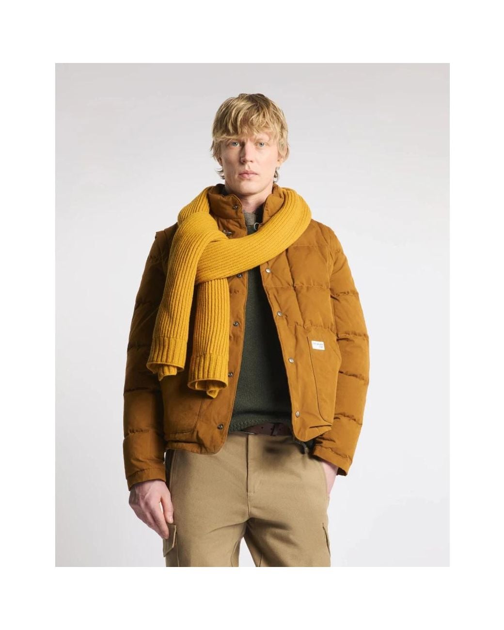 Winter Jackets Fay pour homme en coloris Brown