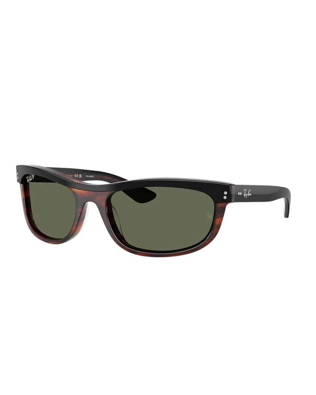 Ray-Ban Black Sunglasses