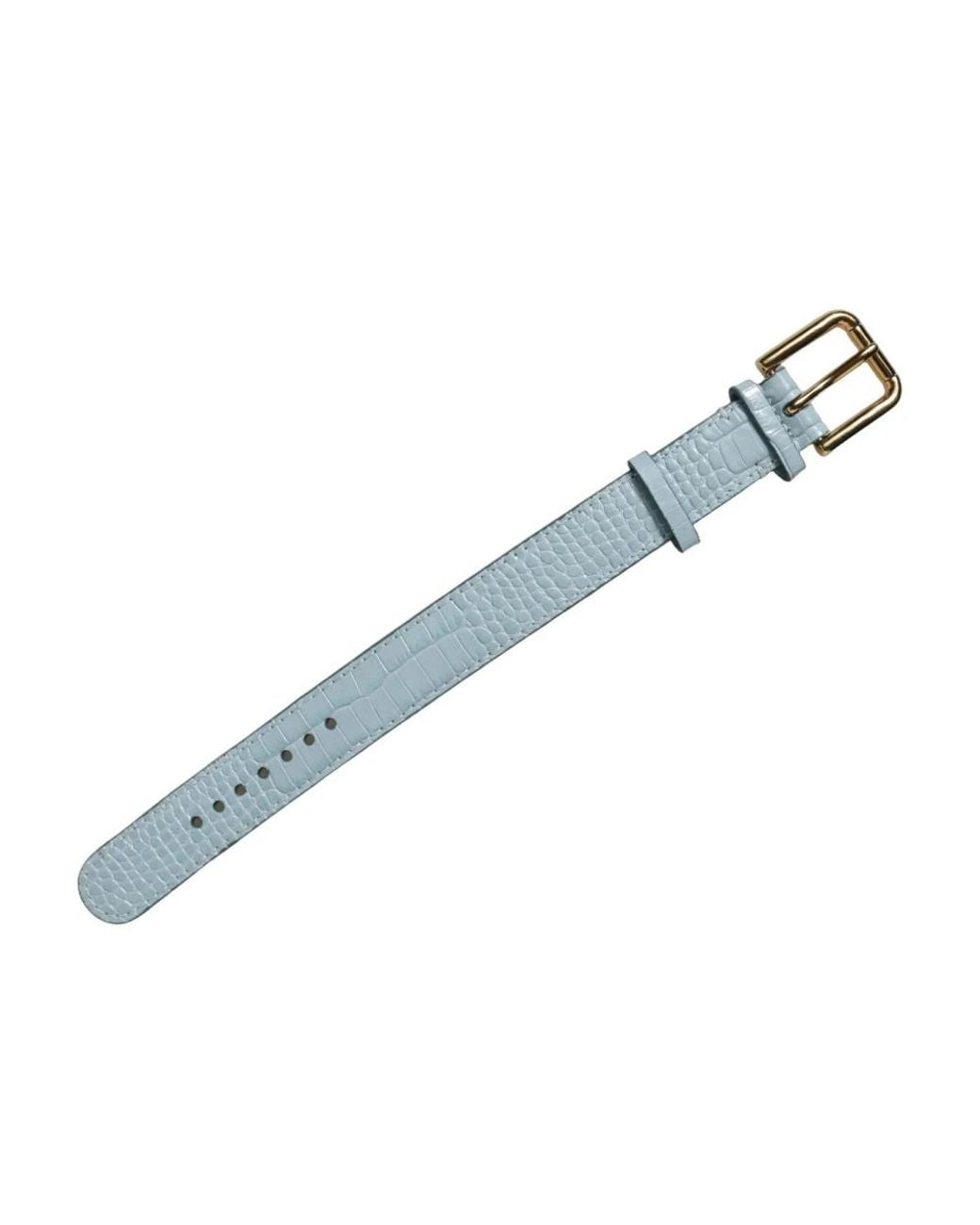 Dolce & Gabbana Blue Belts