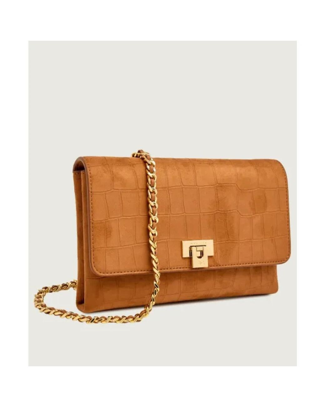Elisabetta Franchi Brown Cross Body Bags