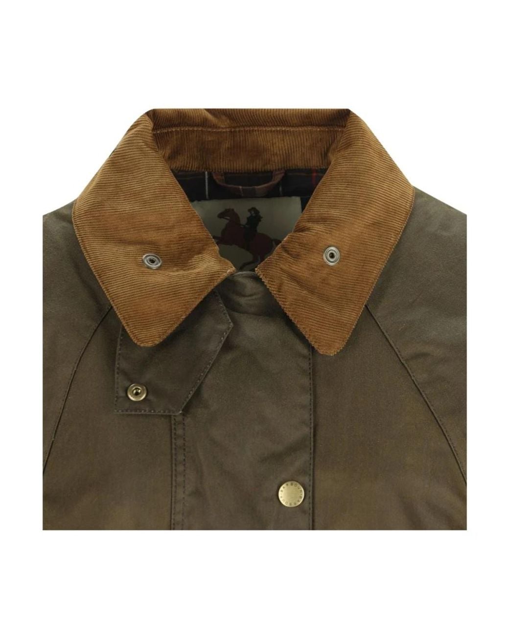 Winter Jackets Barbour de color Green