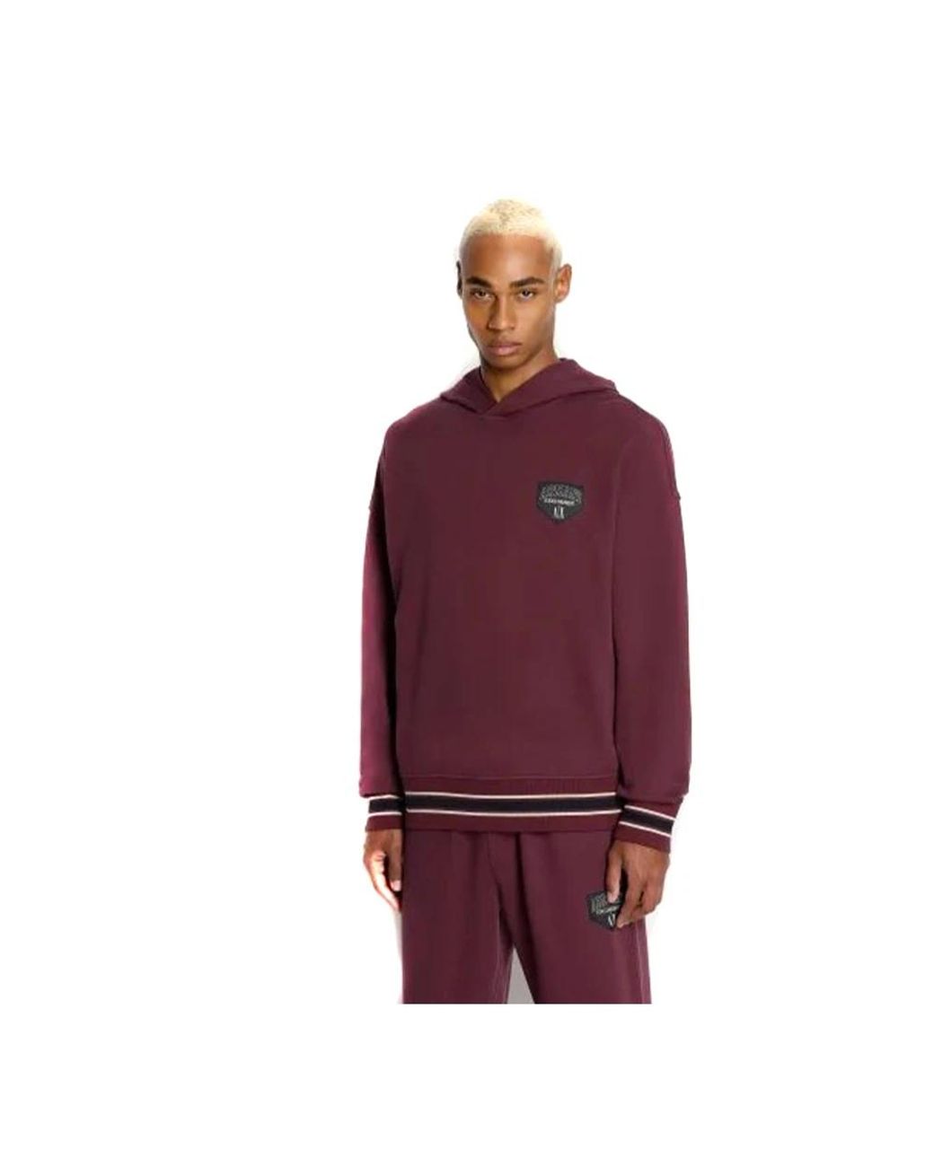 ARMANI EXCHANGE Purple Hoodies for men