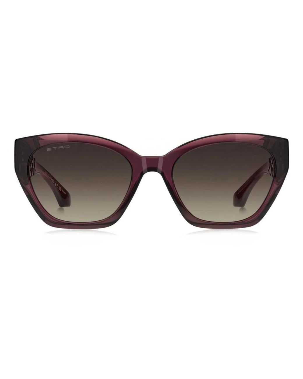 Etro Brown Sunglasses