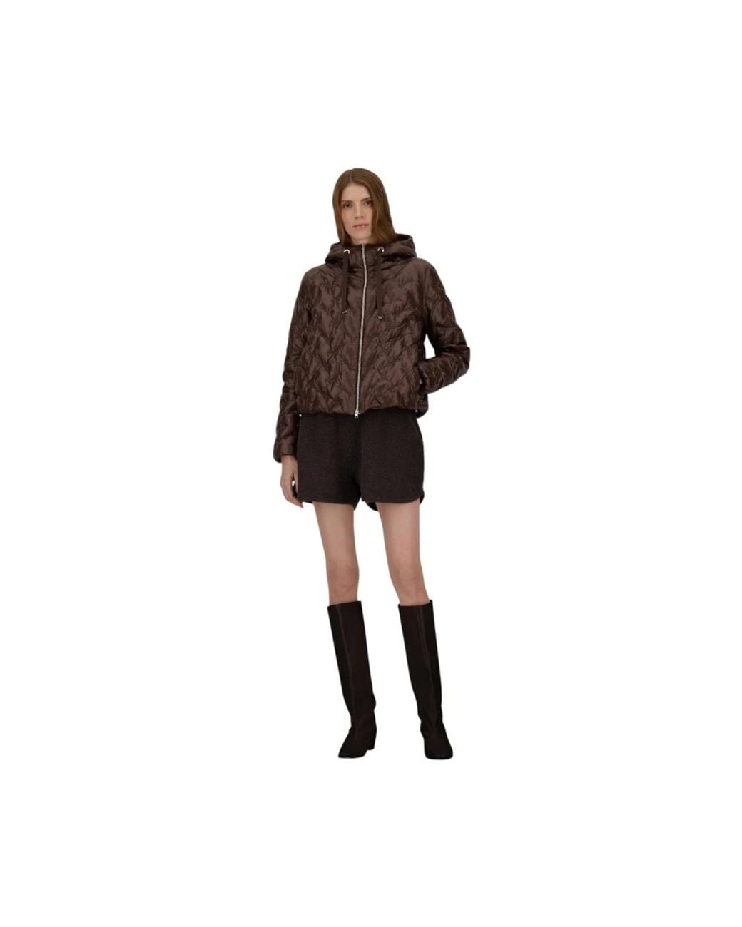 Down Jackets Herno en coloris Brown