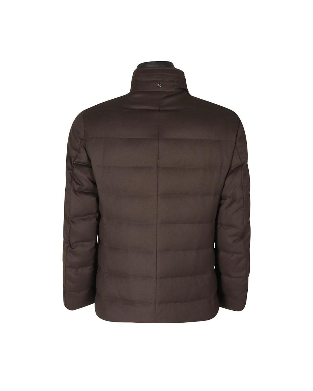 Winter Jackets Montecore de hombre de color Brown