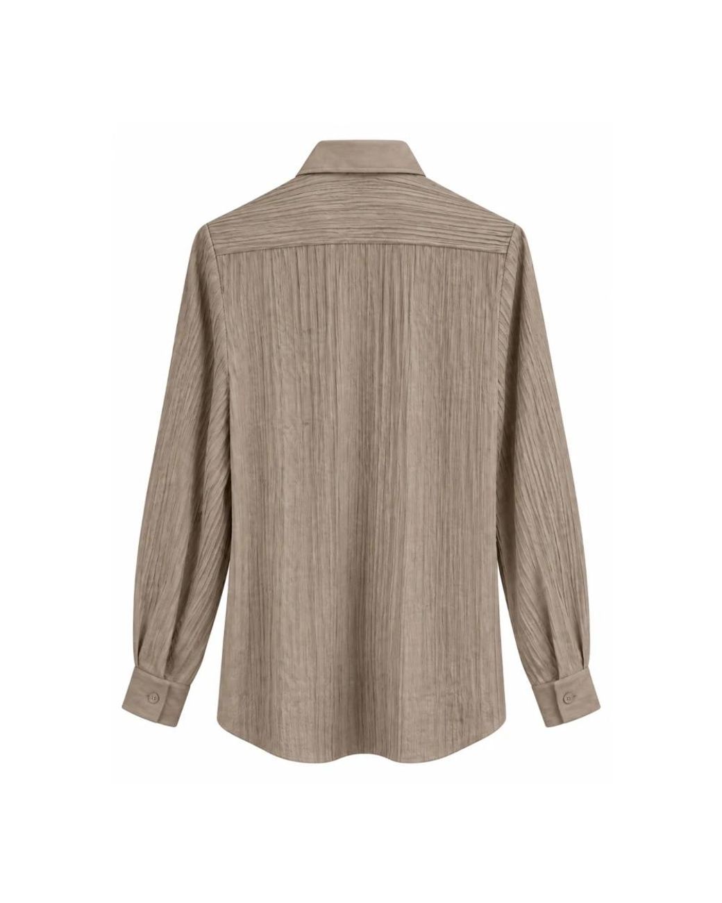 MARSĒM Brown Cd043Fw26 Bluse