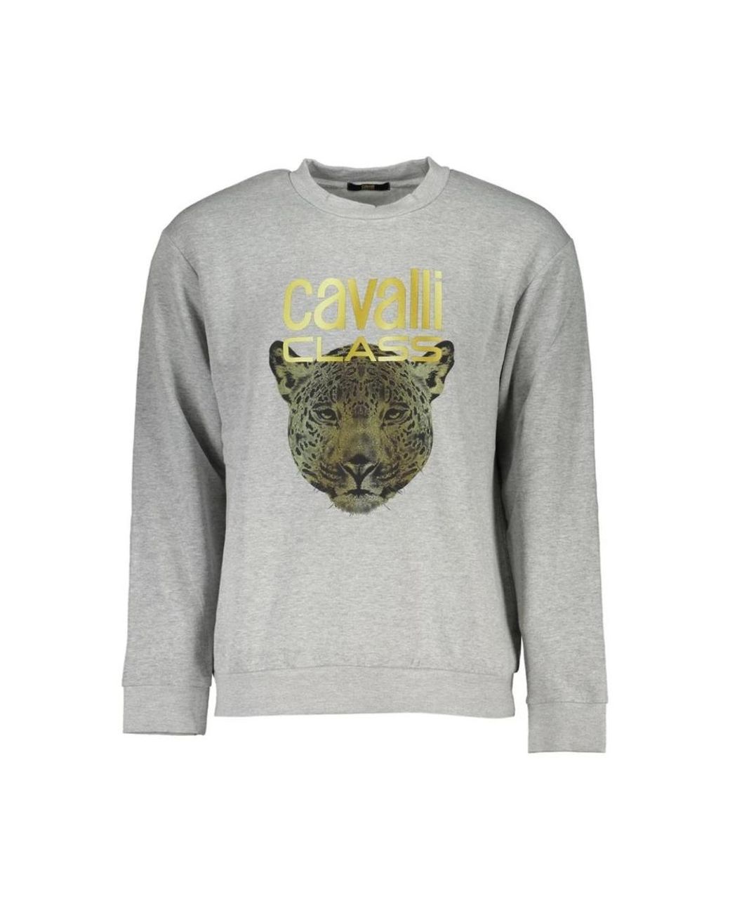 Roberto Cavalli Gray Sweatshirts for men