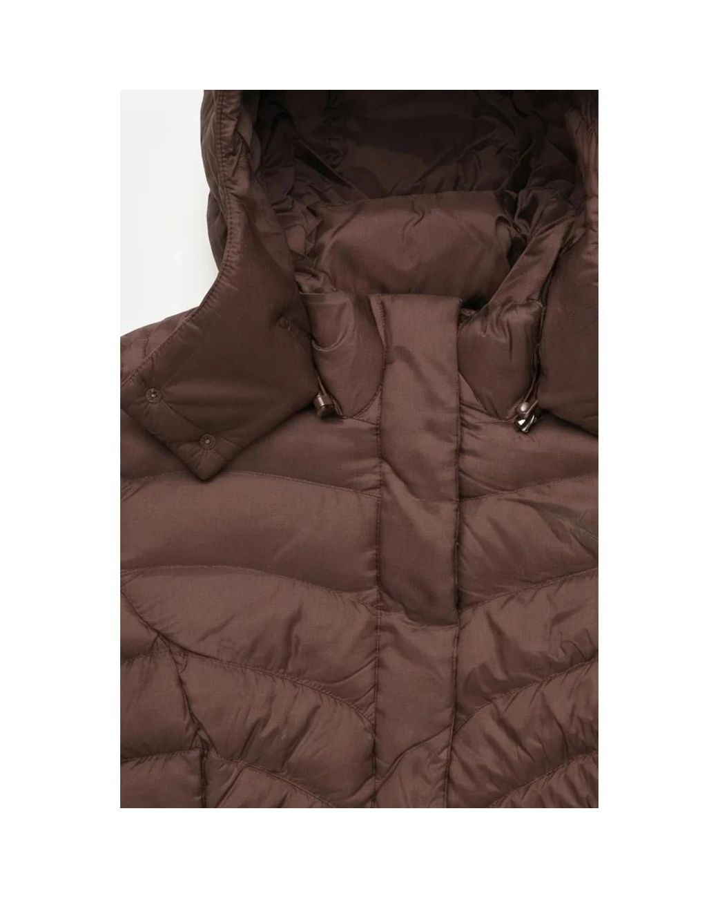 Winter Jackets EA7 en coloris Brown