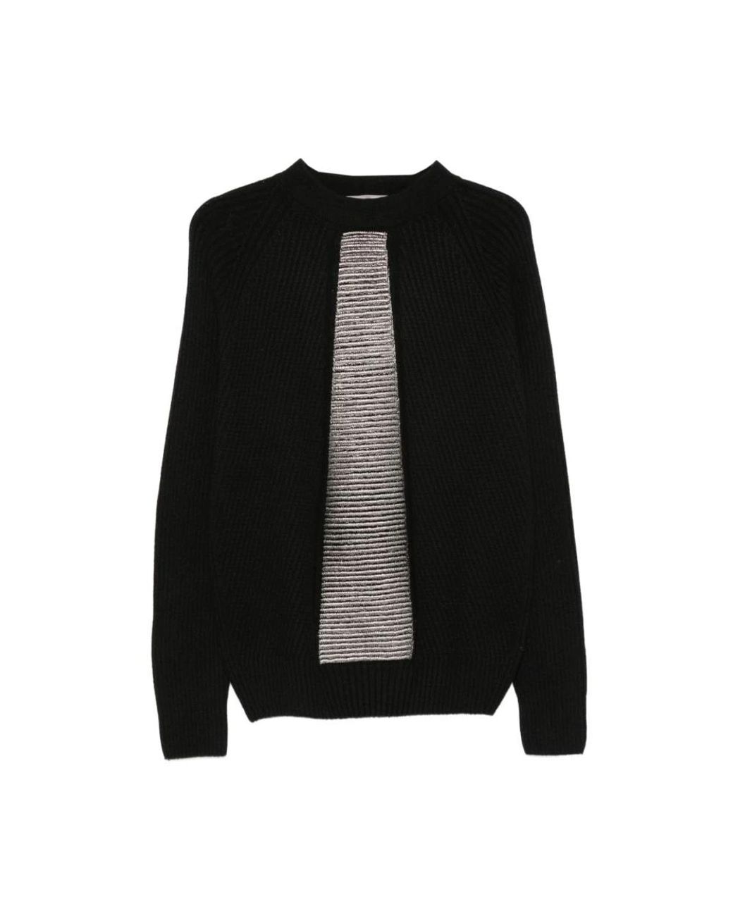 D.exterior Black Round-Neck Knitwear
