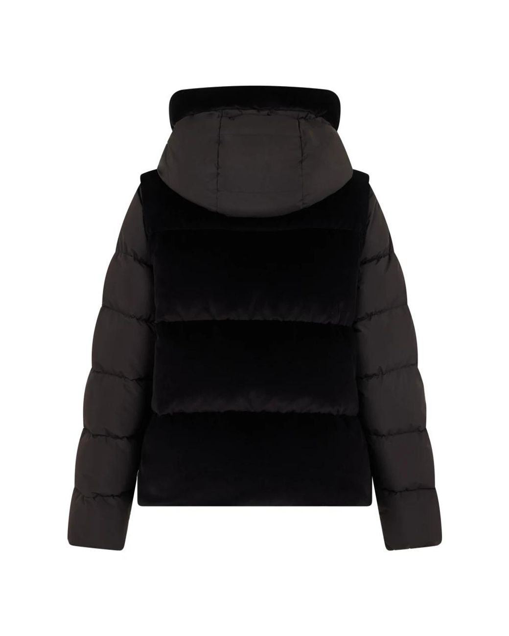 Winter Jackets Moorer en coloris Black