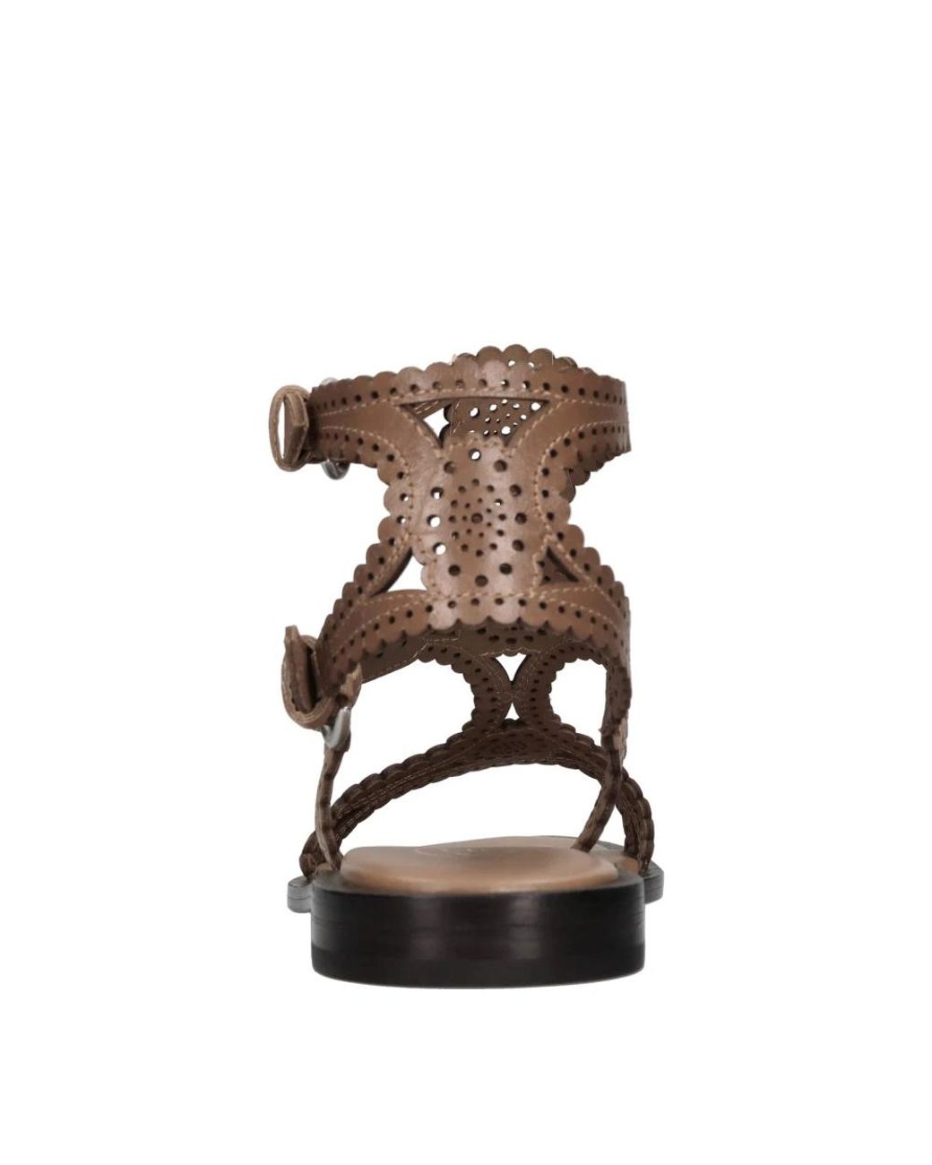 Flat Sandals di Ash in Brown