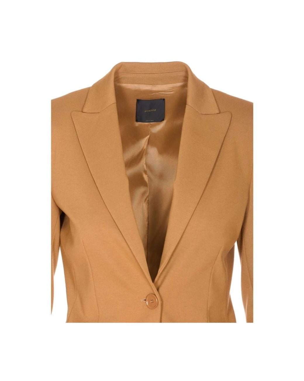 Pinko Brown Blazers