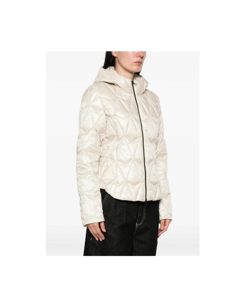 Winter Jackets Moose Knuckles de color Natural