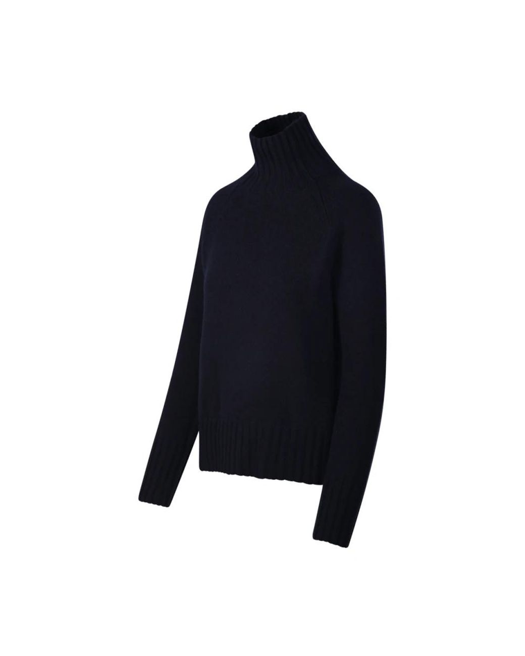 Max Mara Blue Turtlenecks