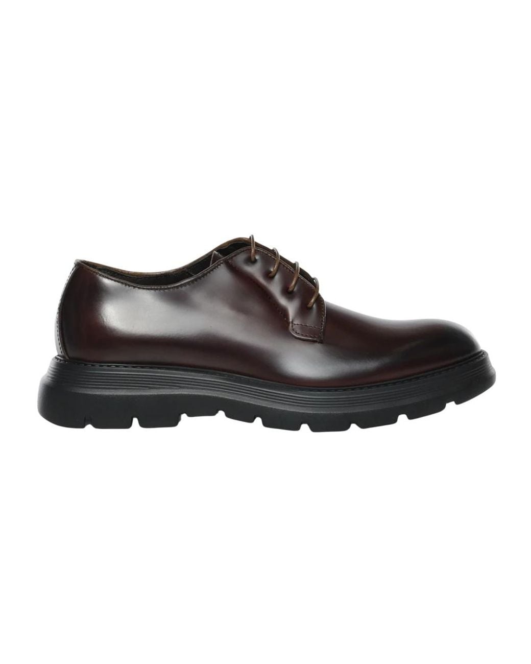 Giuliano Galiano Brown Laced Shoes for men
