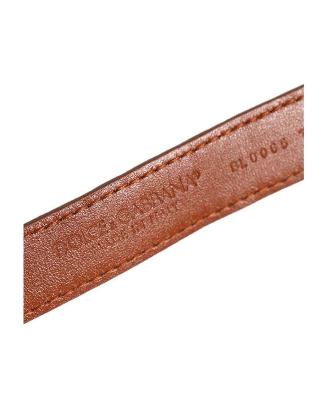 Dolce & Gabbana Brown Bracelets