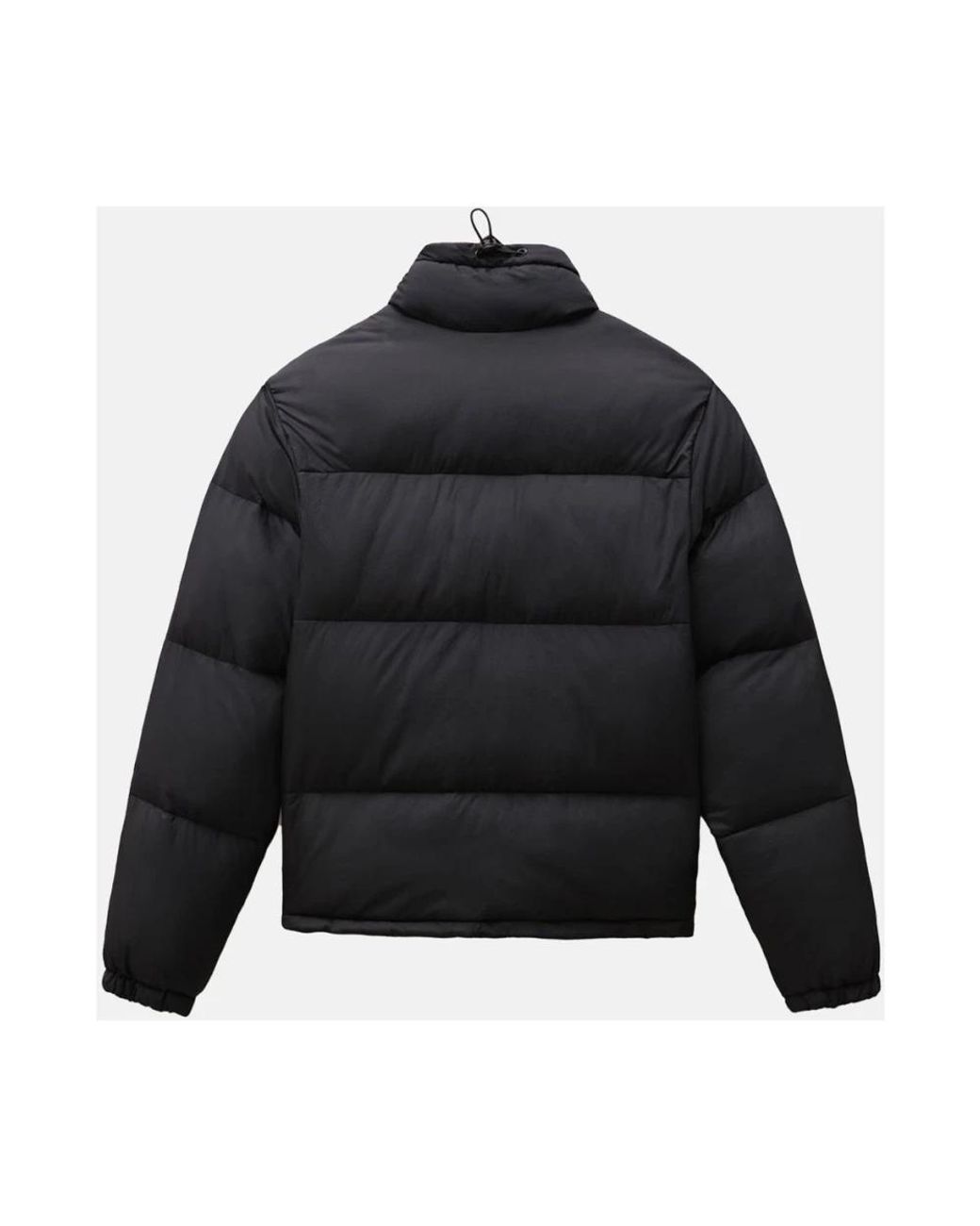 Dickies Jackets > Down Jackets in het Black