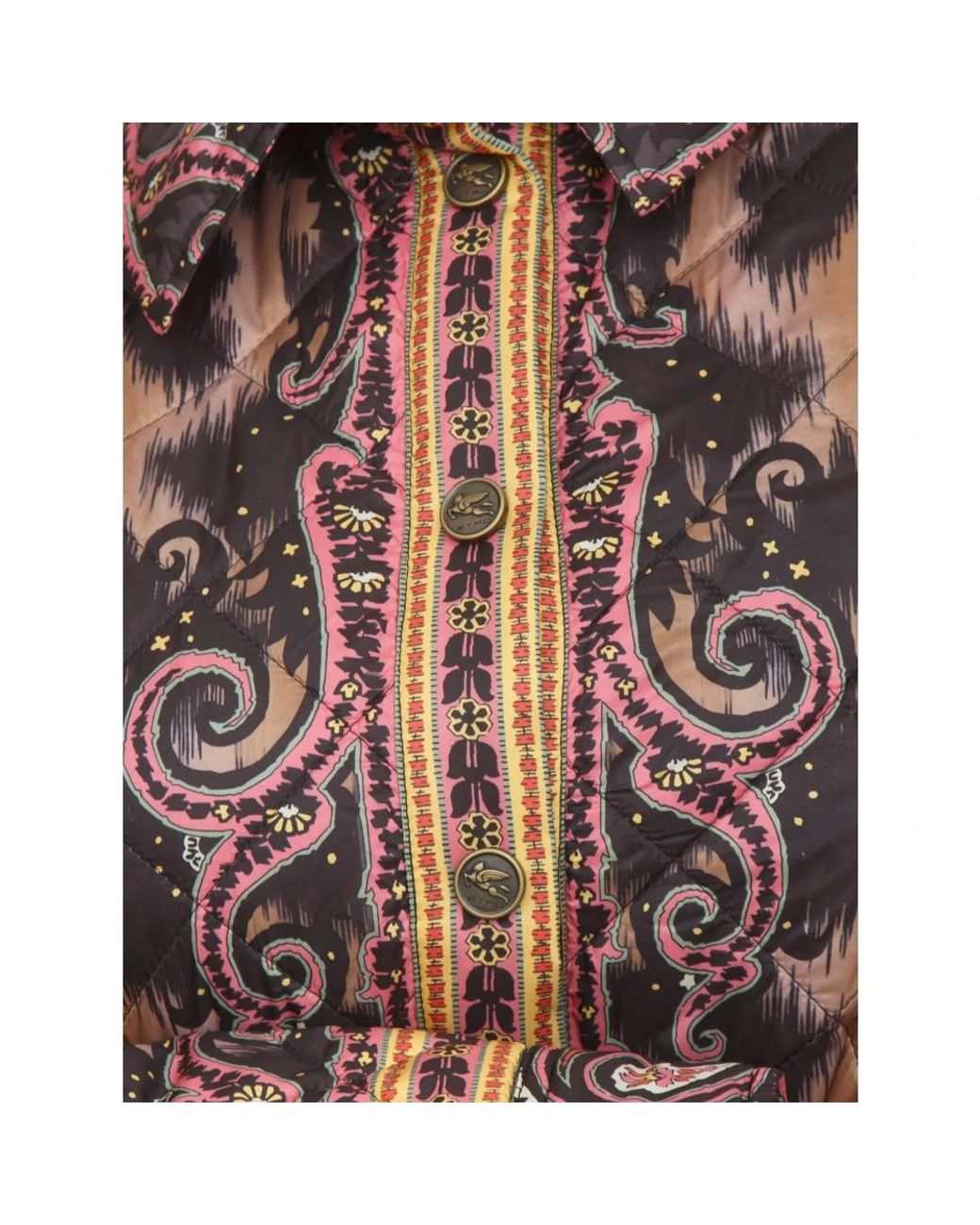 Etro Blue Light Jackets