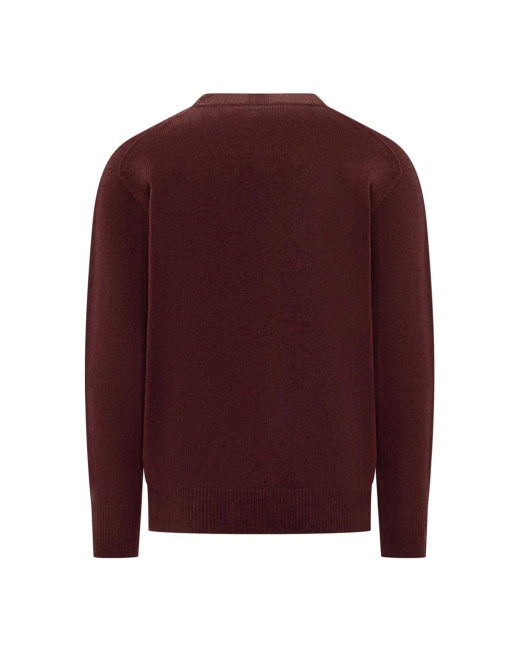 Amaranto Red Round-Neck Knitwear for men