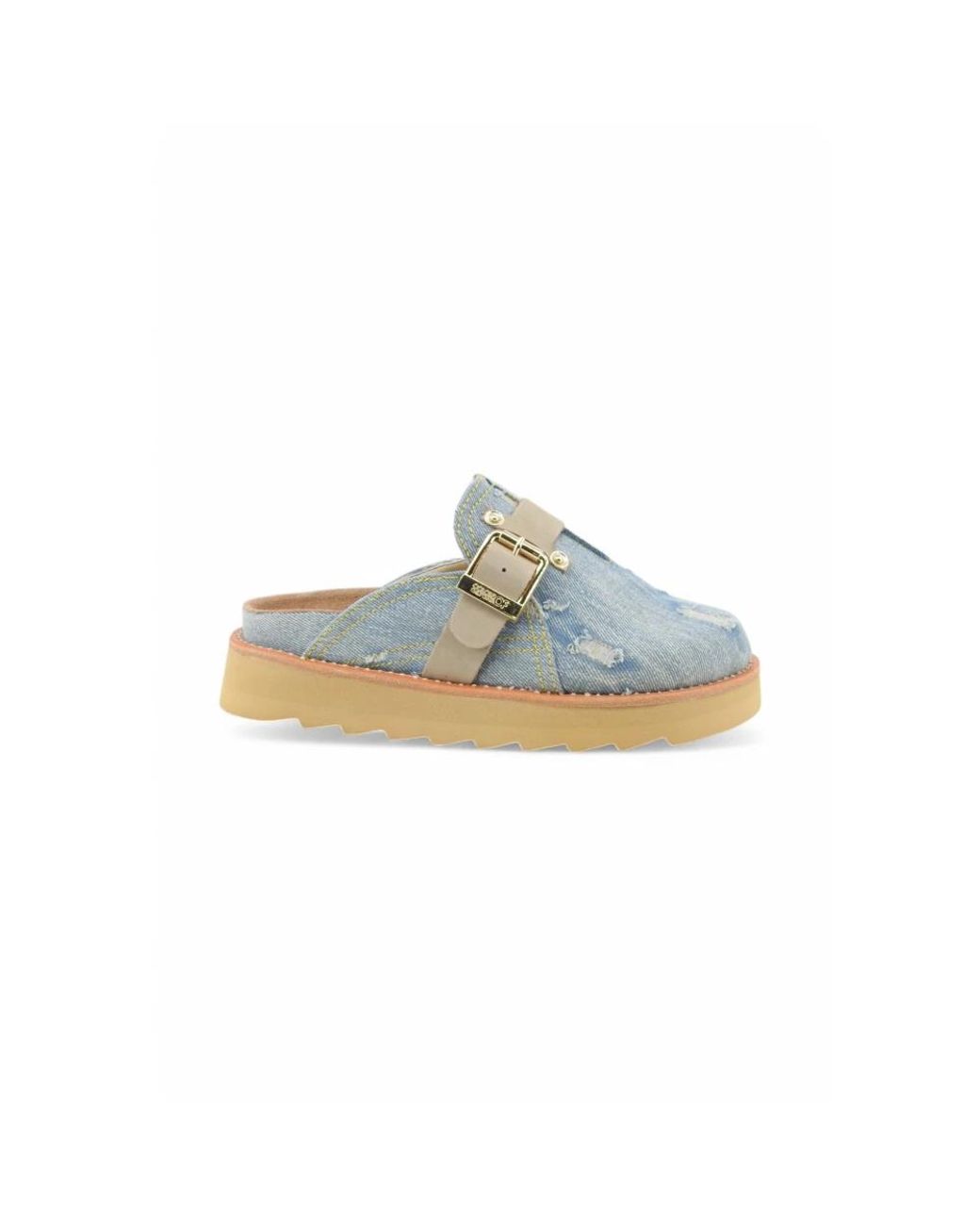 Colors Of California Blue Mules