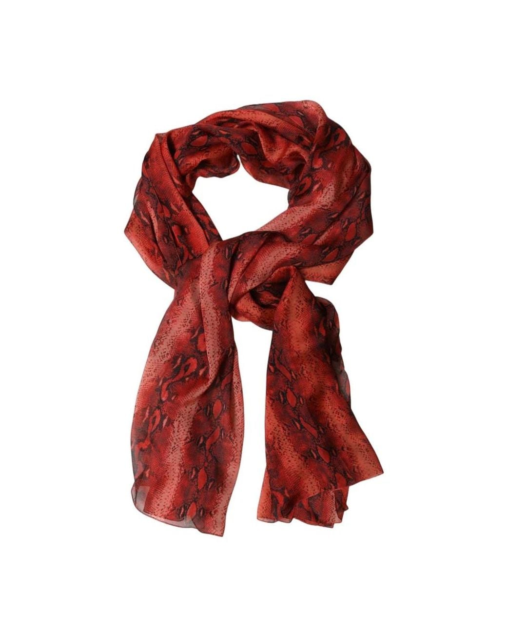 Dolce & Gabbana Red Silk Scarves