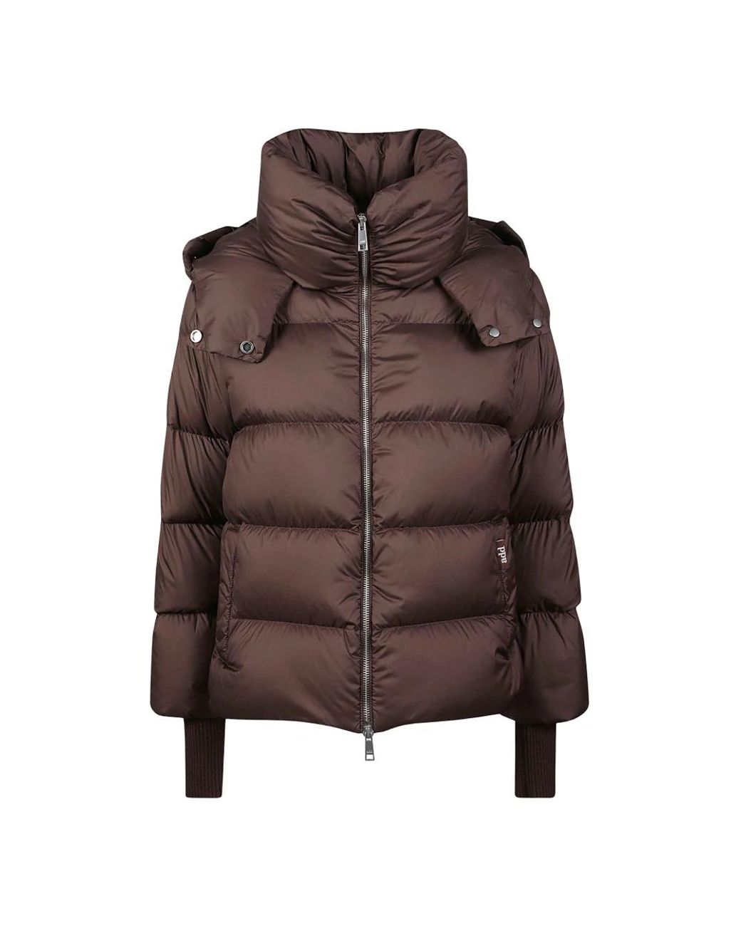 Winter Jackets Add en coloris Brown