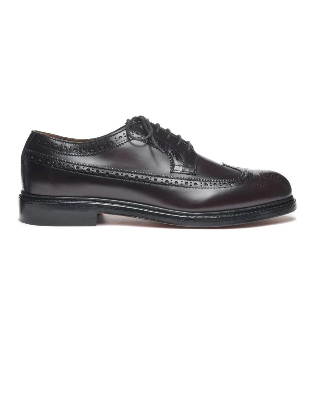 Sebago Longwing Brogues in het Black voor heren