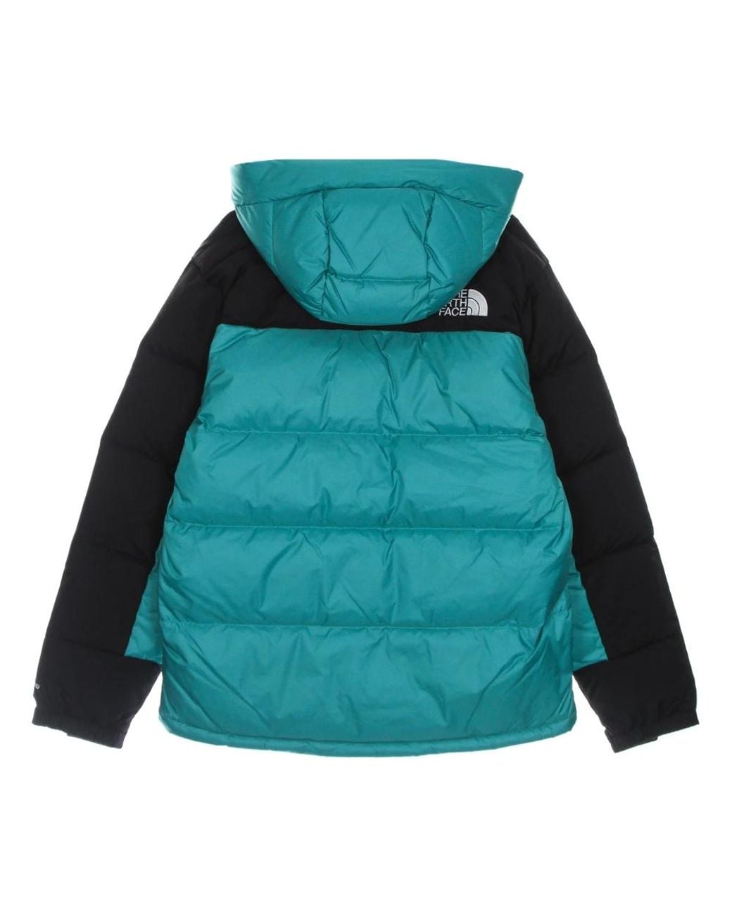 The North Face Green Down Jackets for men