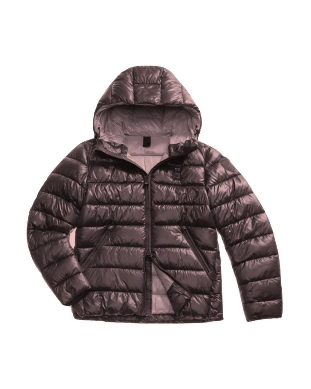 Blauer Brown Winter Jackets for men